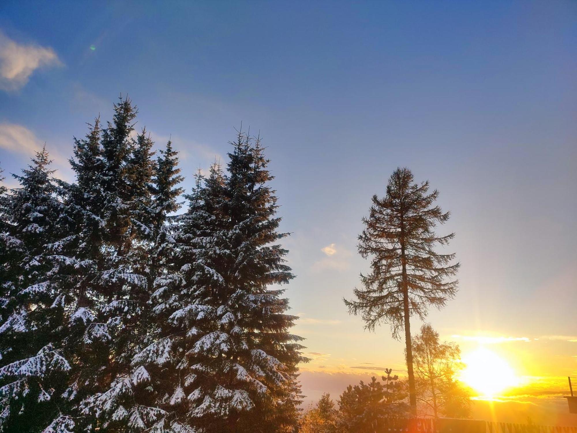 Nature Living Koralm - Neue Chalets Auf Der Koralpe Im Schi- Und Wanderparadies Sankt Stefan im Lavanttal Exterior foto