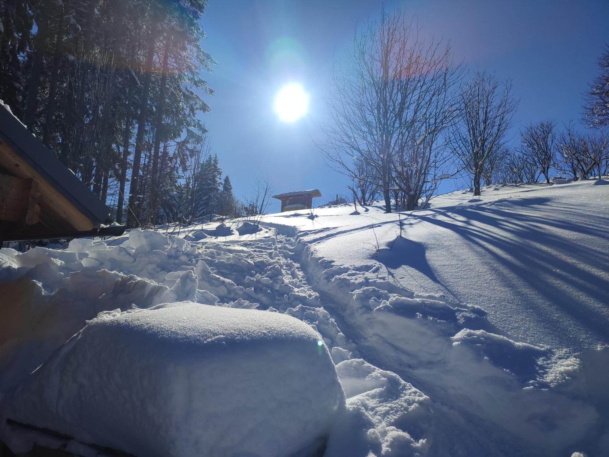 Nature Living Koralm - Neue Chalets Auf Der Koralpe Im Schi- Und Wanderparadies Sankt Stefan im Lavanttal Exterior foto